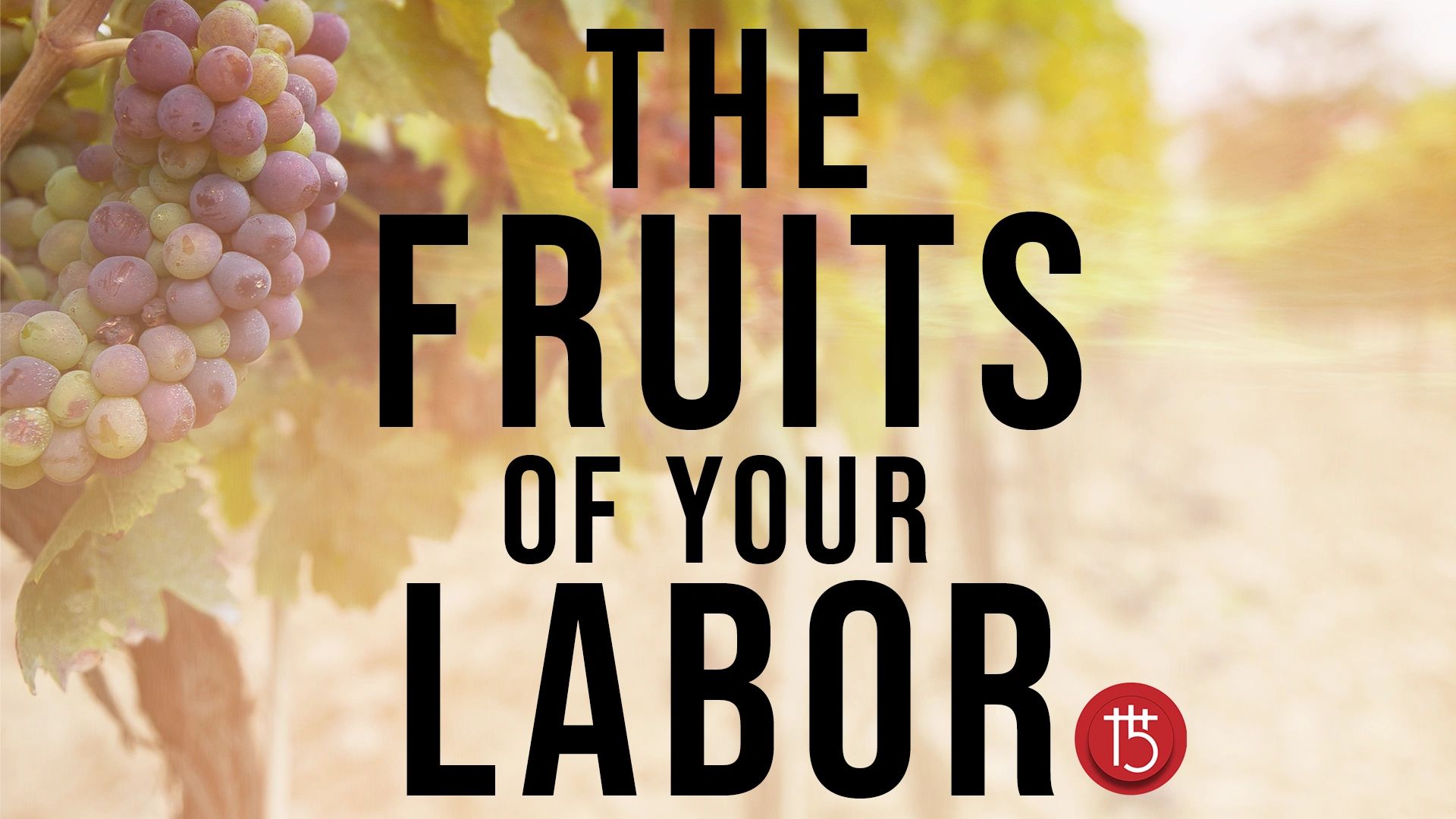 the-fruits-of-your-labor